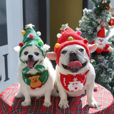 MerryPaws Santa Costume