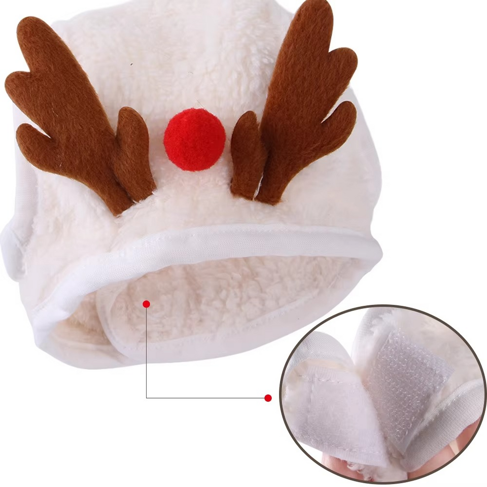 MerryPaws Santa Costume