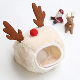 MerryPaws Santa Costume