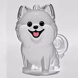Forever Paws