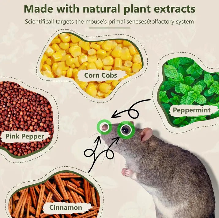 Peppermint Oil Rat Repellent Balls | Pack of 24